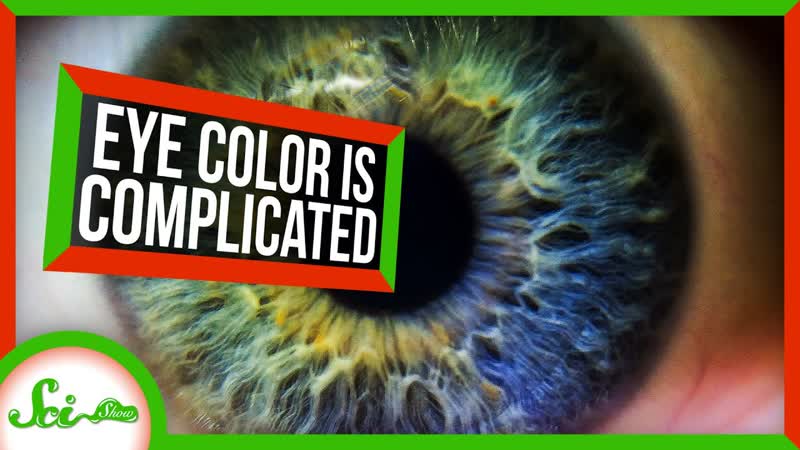 We Found a Bunch of New Eye Color Genes, Sci Show