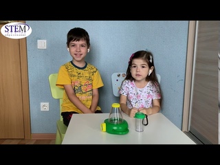 Почему насекомых называют насекомыми?
