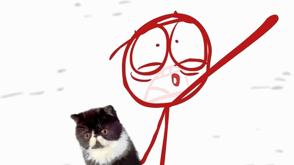 Dick Figures Kitty Amazing (Озвучка от Triangularity