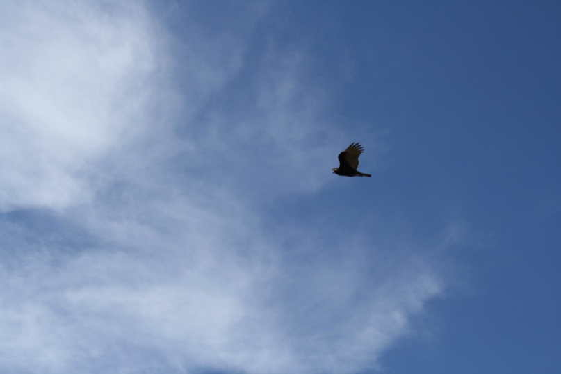 Филипп Власов ツ | Санкт-Петербург