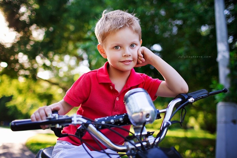 Владимир Вилков | Меленки