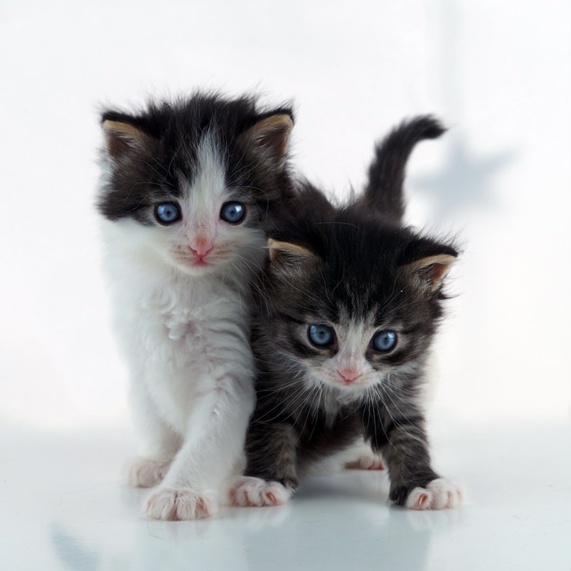 Катечка Залюбовская | Санкт-Петербург