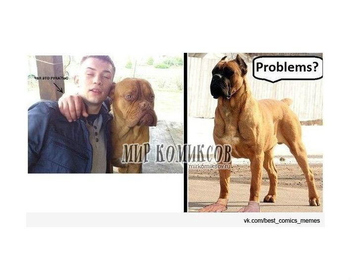 Яна Панова | Онега