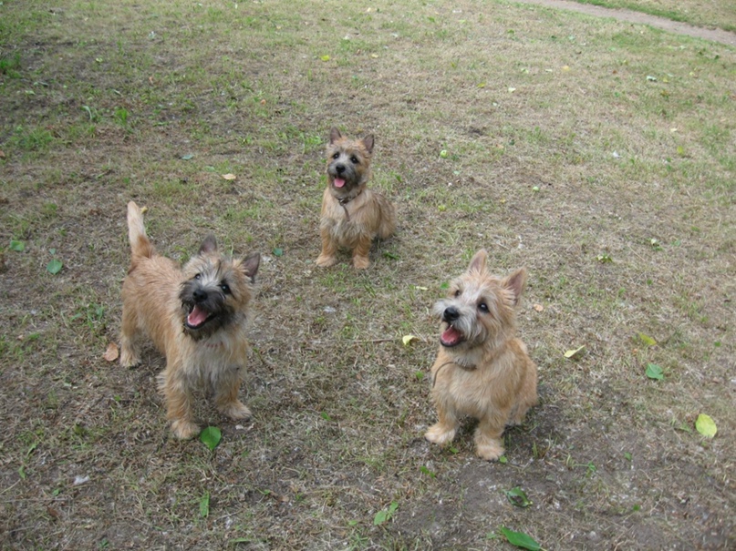Наталья Яковлева | Санкт-Петербург