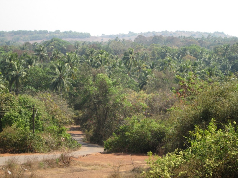 Тимофей Фокин RDFX | Москва