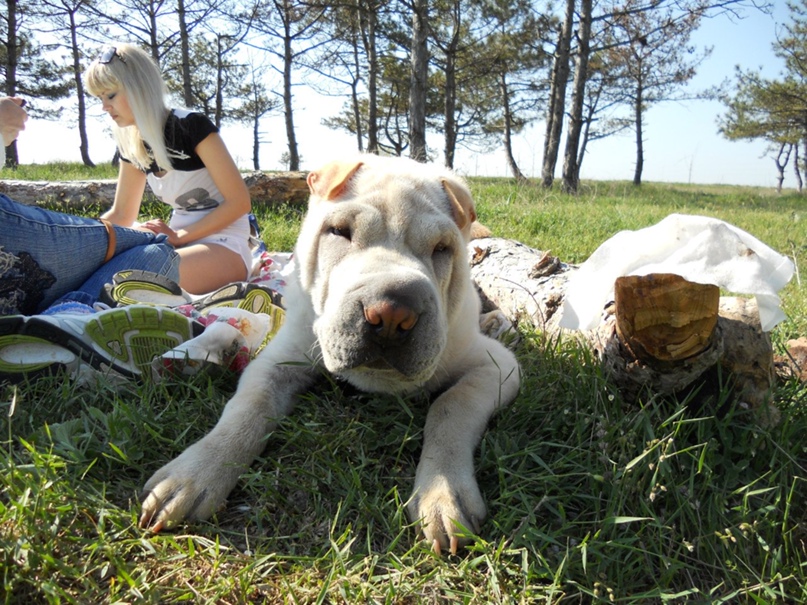 Антон Торопцев |