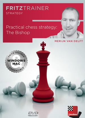 Practical Chess Strategy: The Bishop_Merijn van Delft CBFT GC3Eypbsv2A