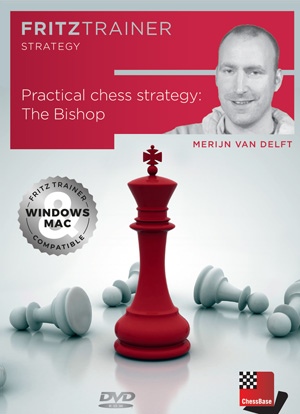 Practical Chess Strategy: The Bishop by  Merijn van Delft GC3Eypbsv2A