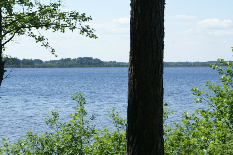 Сергей Сидоренков | Санкт-Петербург