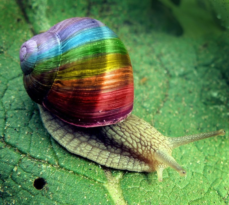 Анастасия Мосина | Санкт-Петербург