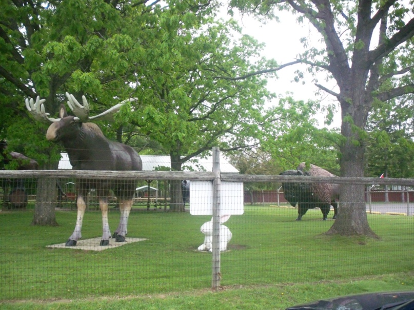 Владимир Веденеев | Киев