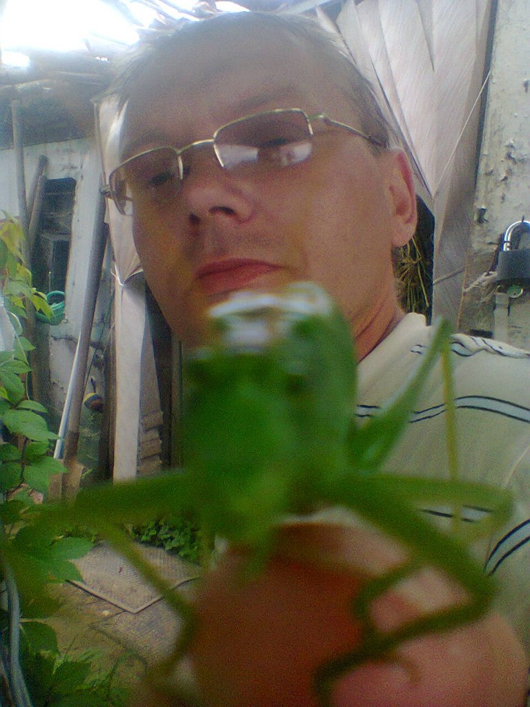 Сергей Алексеев | Великий Новгород