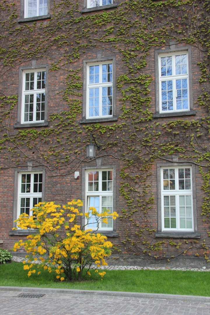 Наталья Тришина | Красногорск