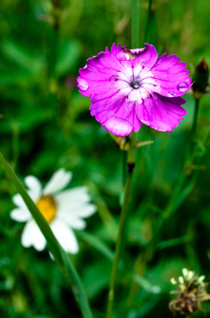 Мария Саламахина | Екатеринбург
