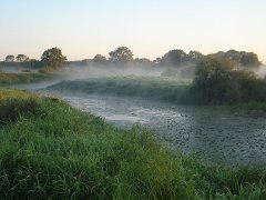Илья Воронков | Новосибирск