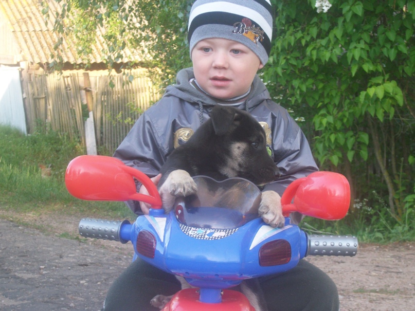 Надежда Бочкарева | Минск