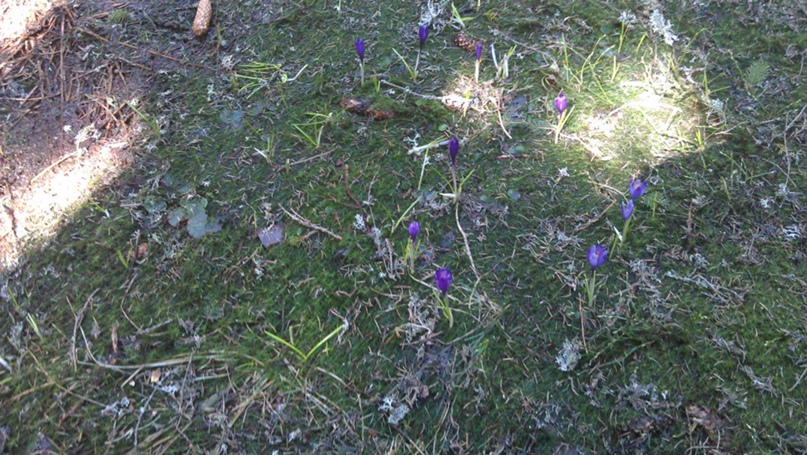 Сергій Мельник | Ивано-Франковск