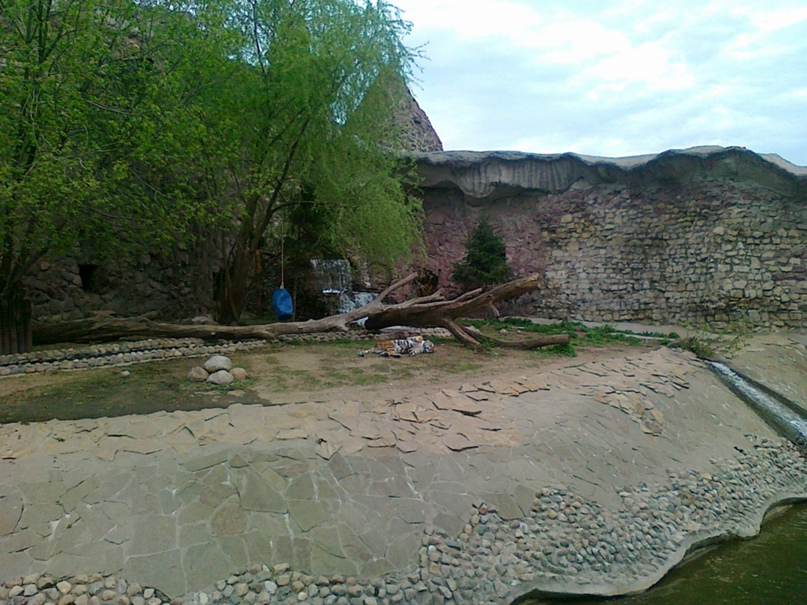 Марина Родионова | Москва