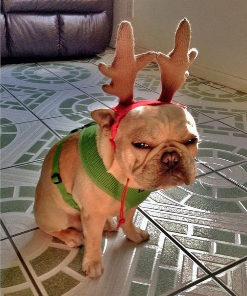 Катерина Соколова | Москва