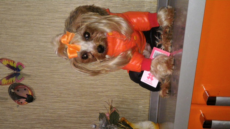 Александра Пушкарёва | Нижний Тагил