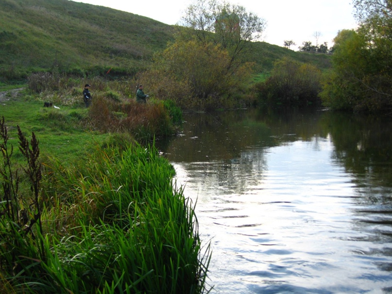 Александр Кирилюк | Ненокса