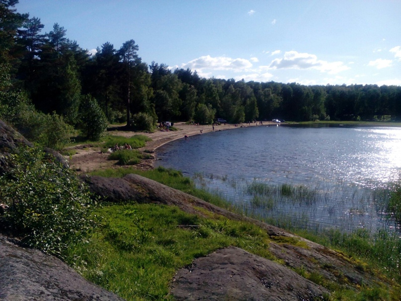 Светлана Фирсова | Петрозаводск