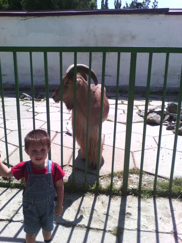 Лариса Баранова | Красногвардейское