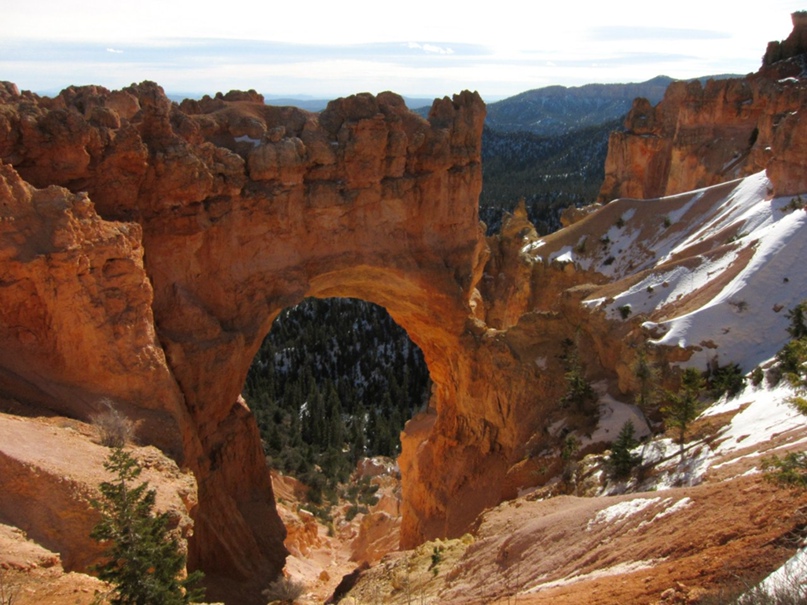 Евгения Иванова | Тула
