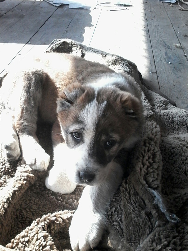 Марина Самсонова Eвгеньевна | Курган