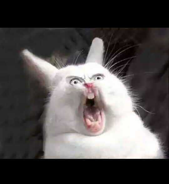 Юля Артёмова | Солнечногорск