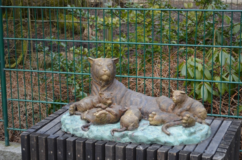 Сергей Савельев | Санкт-Петербург