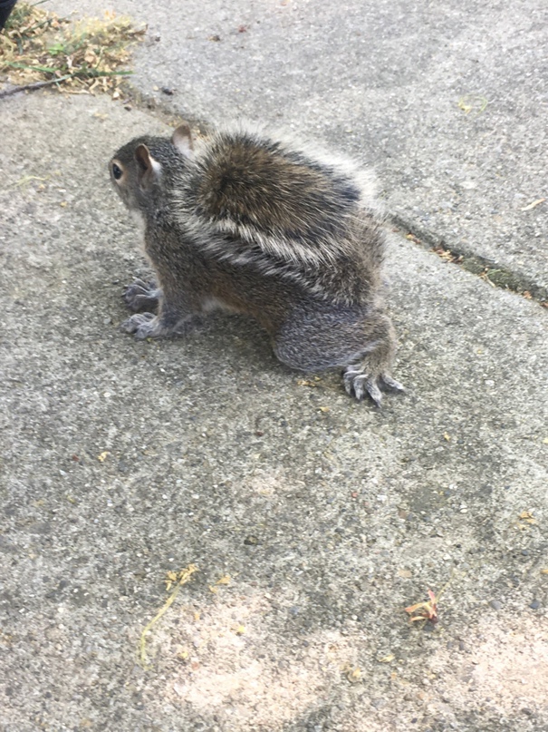 Irina Rishniak | Санкт-Петербург