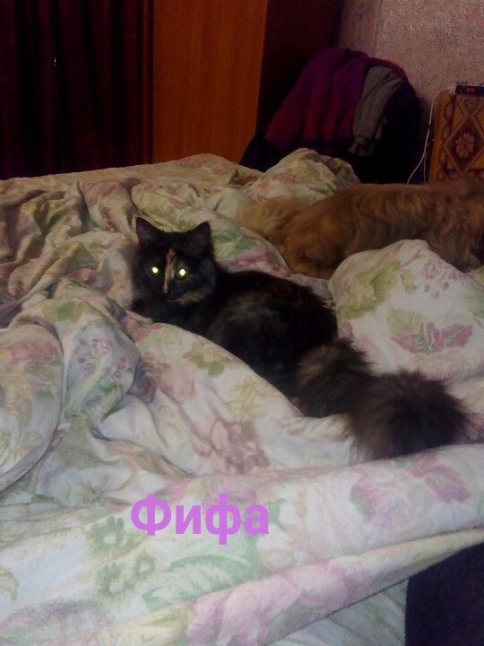 Надежда Насонова | Вельск