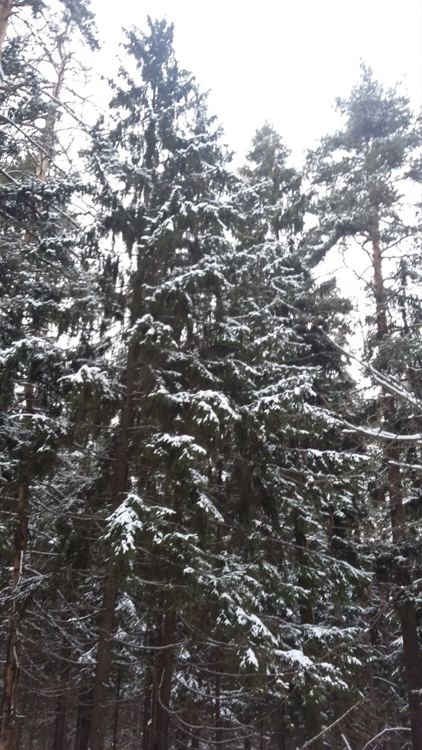 Рома Зиновьев |