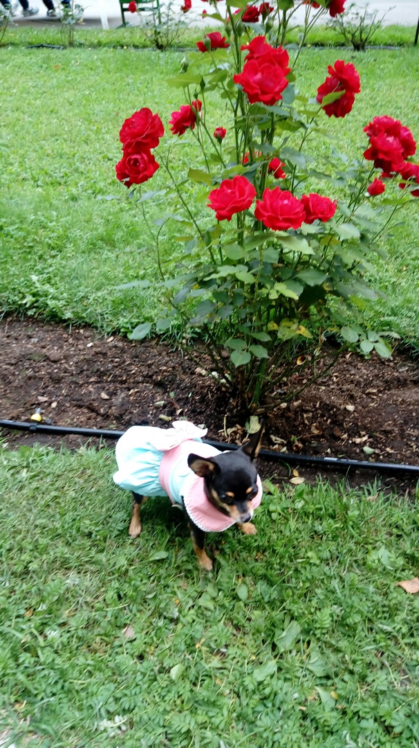 Светлана Кашапова | Пермь