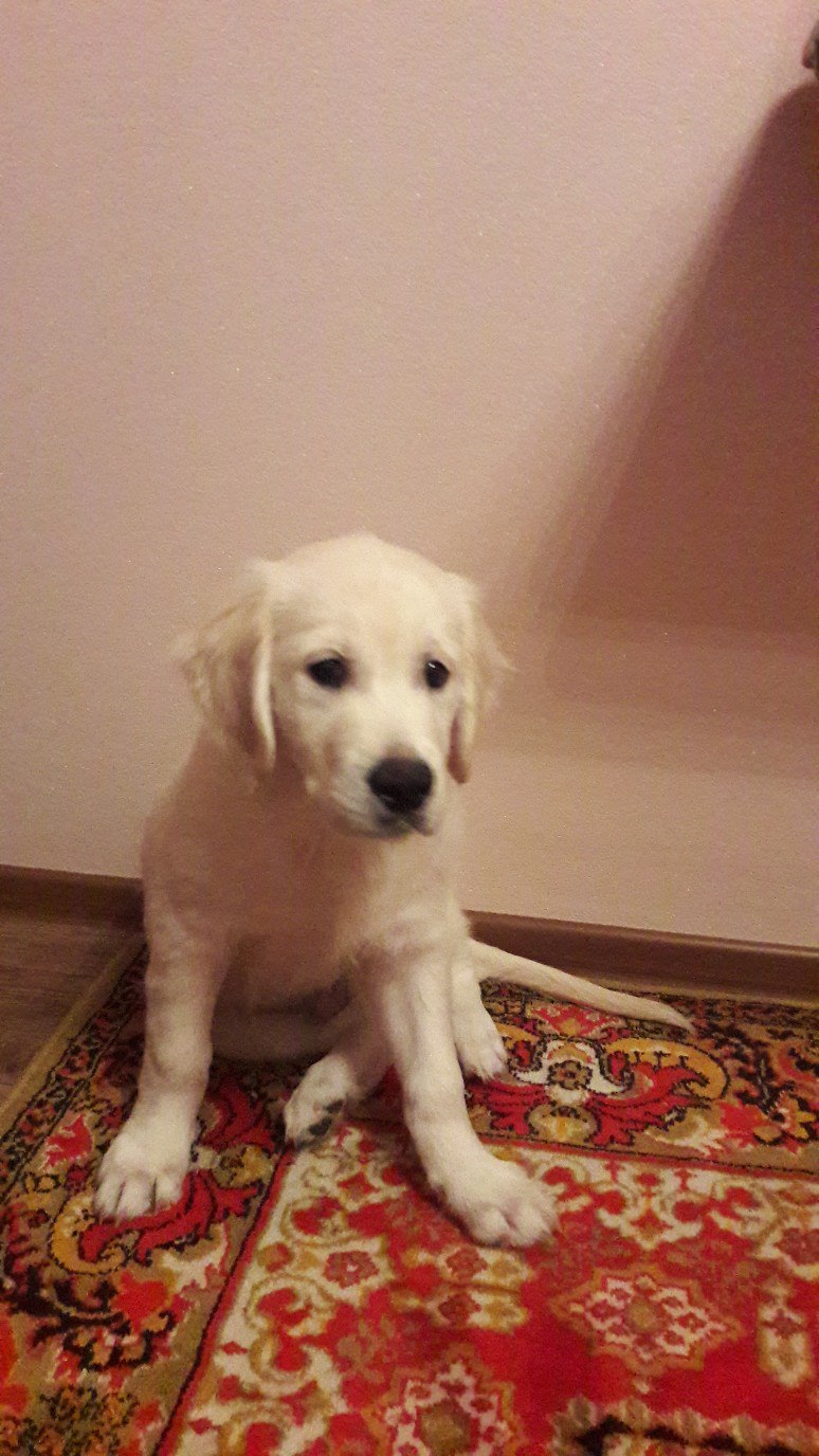 Алексей Исаков | Новосибирск