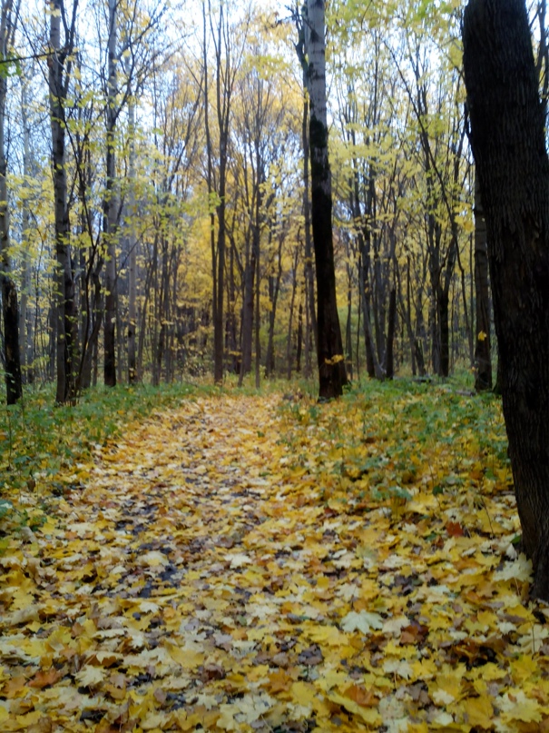 Денис Гордеев | Санкт-Петербург