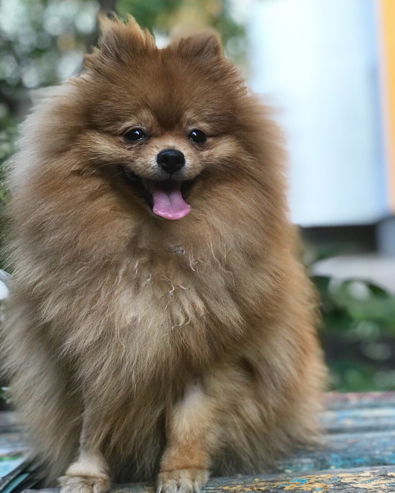 Ирина Полетаева | Самара