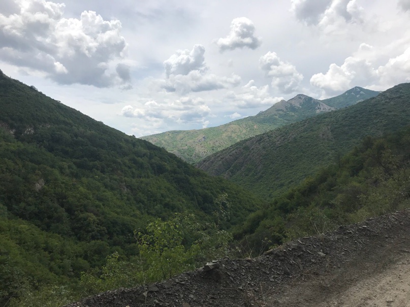 Дашулька Новикова |