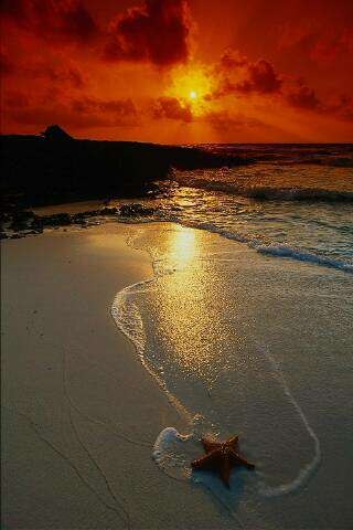 Саша Дяченко | Брусилов