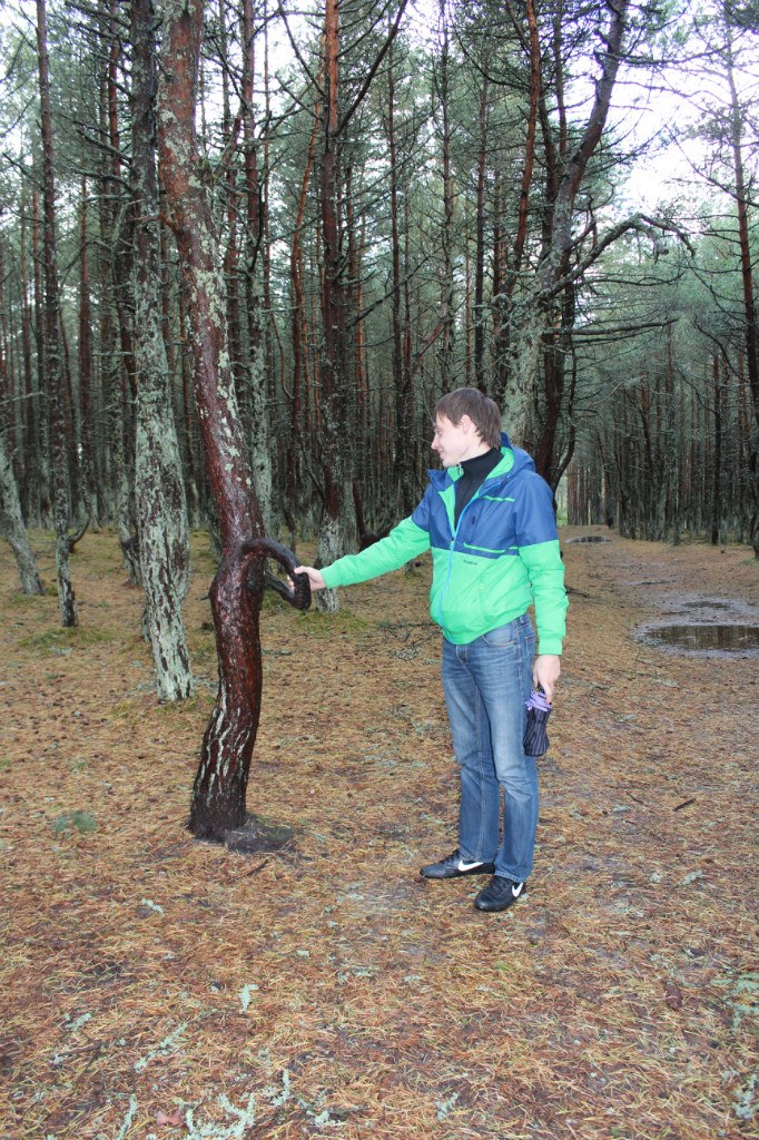 Игорь Фомичёв | Санкт-Петербург