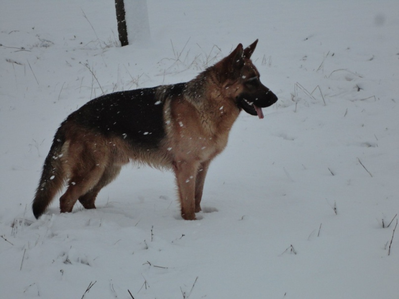 Эдуард Власов | Белореченск