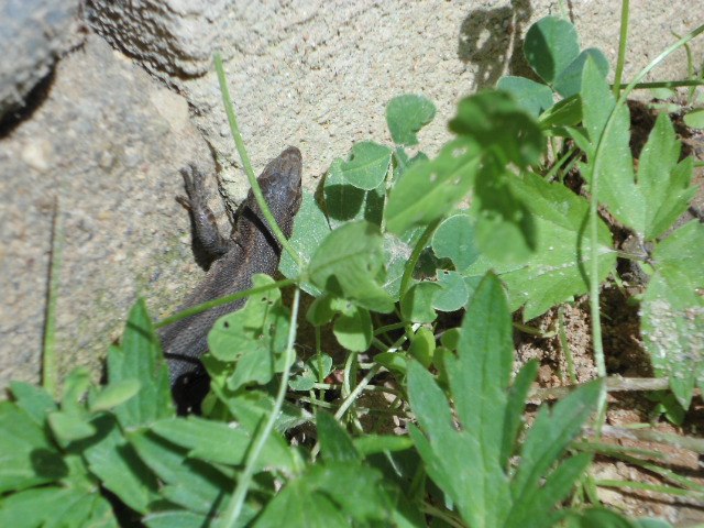 Денис Сергеевич | Москва