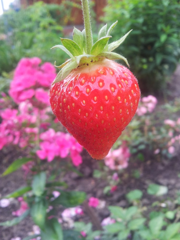 Анастасия Усольцева | Красноярск