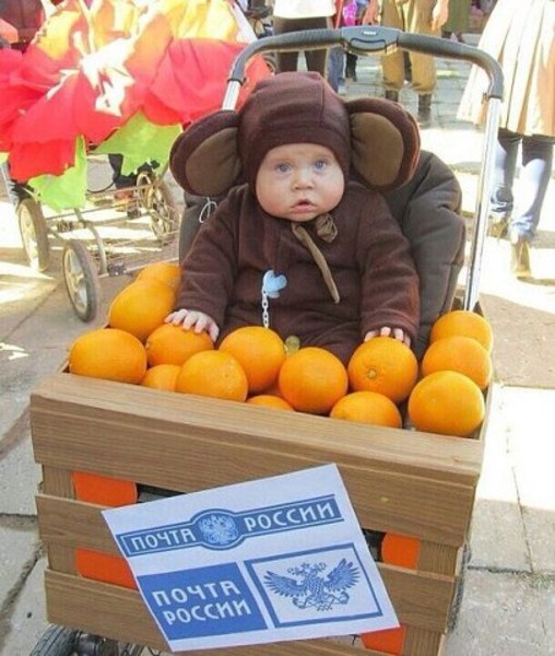 Александр Носов |