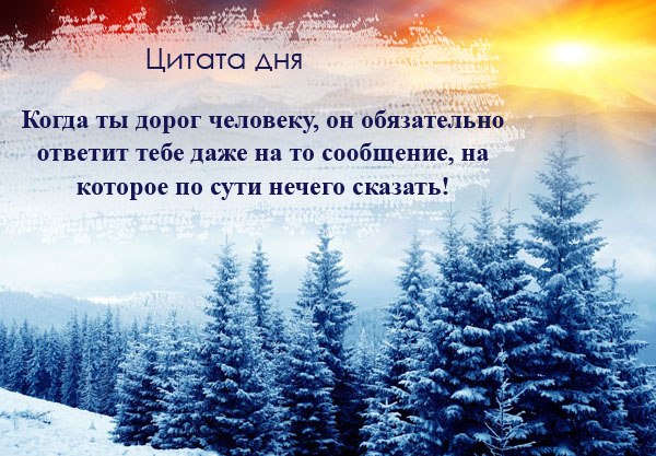 Алексей Квасов | Курск