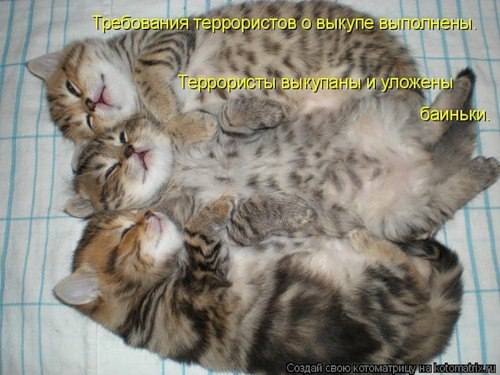 Ольга Гулынина | Москва