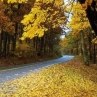 Полина Волошина | Белорецк
