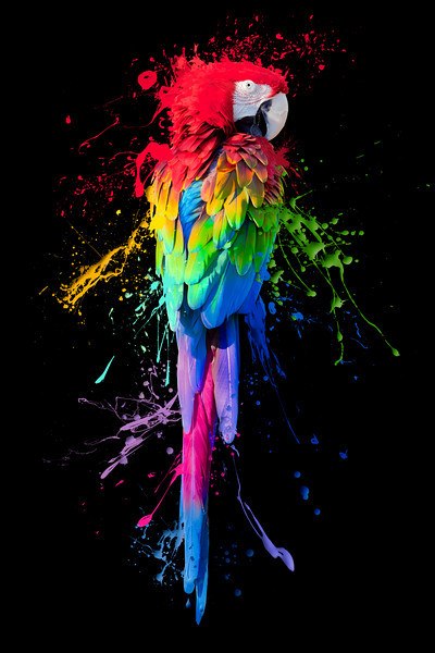 Юлия Зенкова | Новокузнецк