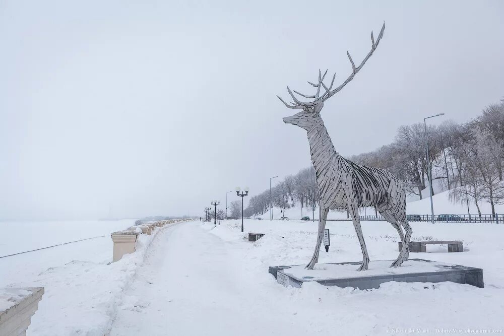 Олень нижний новгород набережная Олень нижний новгород набережная